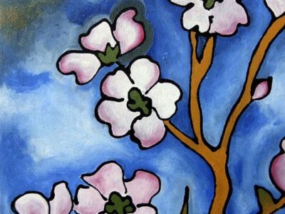 cherry blossoms