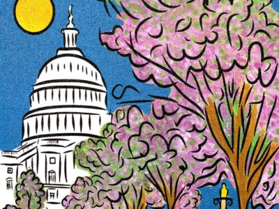 United States Capitol cherry blossom spring painting