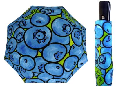 blueberries umbrella