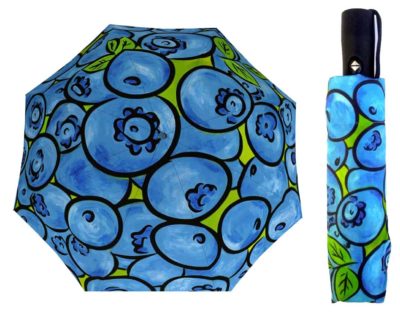 blueberries umbrella